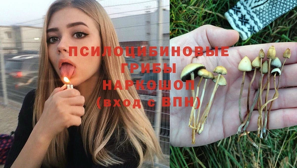мяу мяу мука Белокуриха
