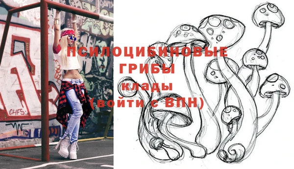 мяу мяу мука Белокуриха