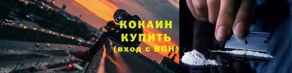 мяу мяу мука Белокуриха