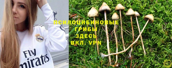 мяу мяу мука Белокуриха