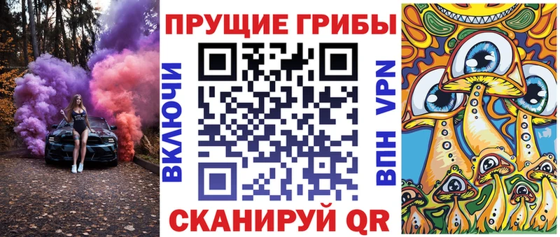 Галлюциногенные грибы Psilocybe  Нижний Новгород 